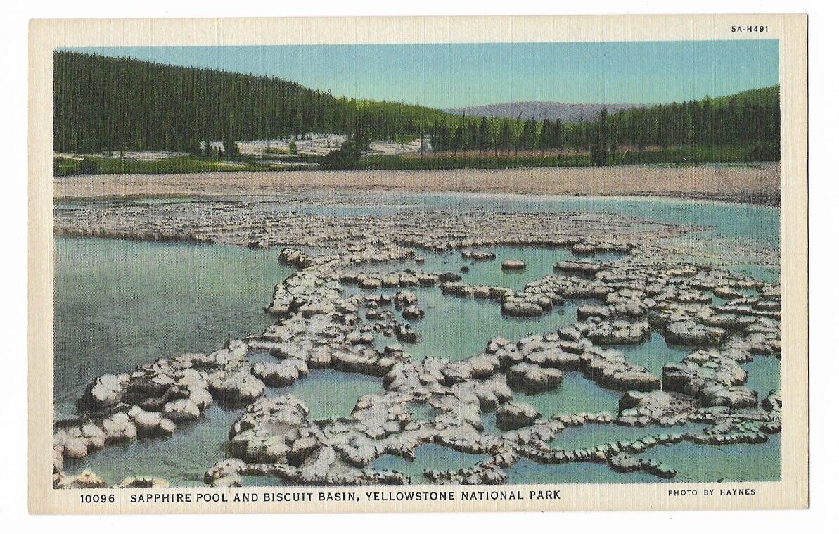 Yellowstone National Park, Sapphire Pool, Series #10096 Vintage Postcard