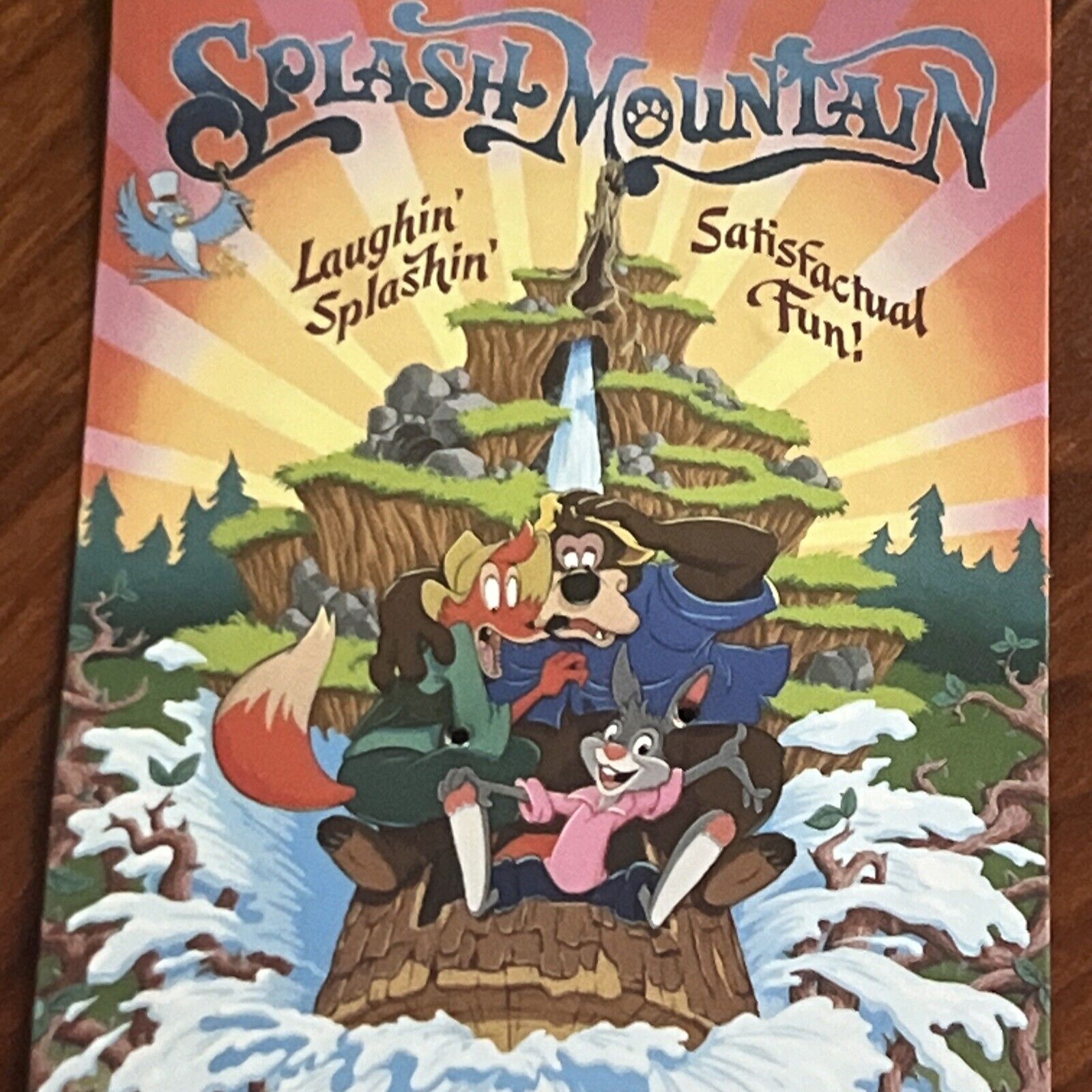 RARE WDI Walt Disney Pin Imagineering Splash Mountain Critter Country Poster