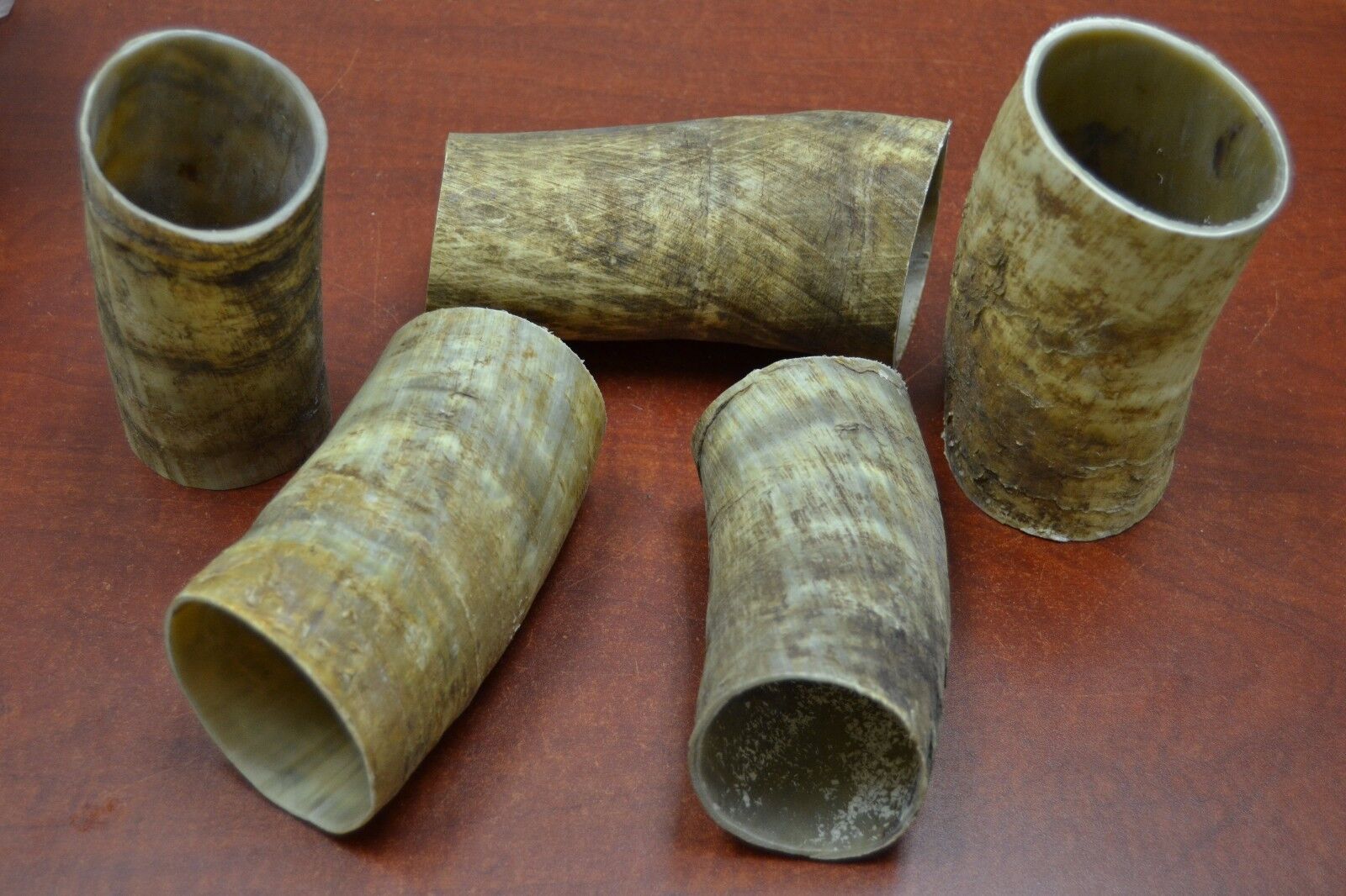 5 PCS ASSORT CUT HOLLOW RAW UNFINISHED COW HORN SCRIMSHAW CARVING CRAFT DECOR