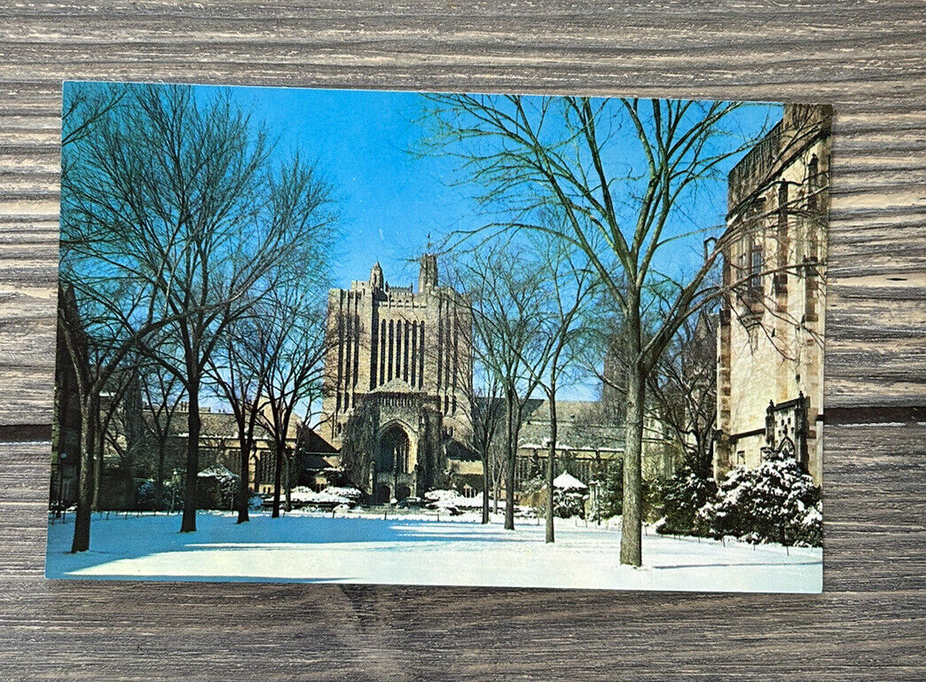 Vintage 1960 Yale University Sterling Memorial Library Postcard