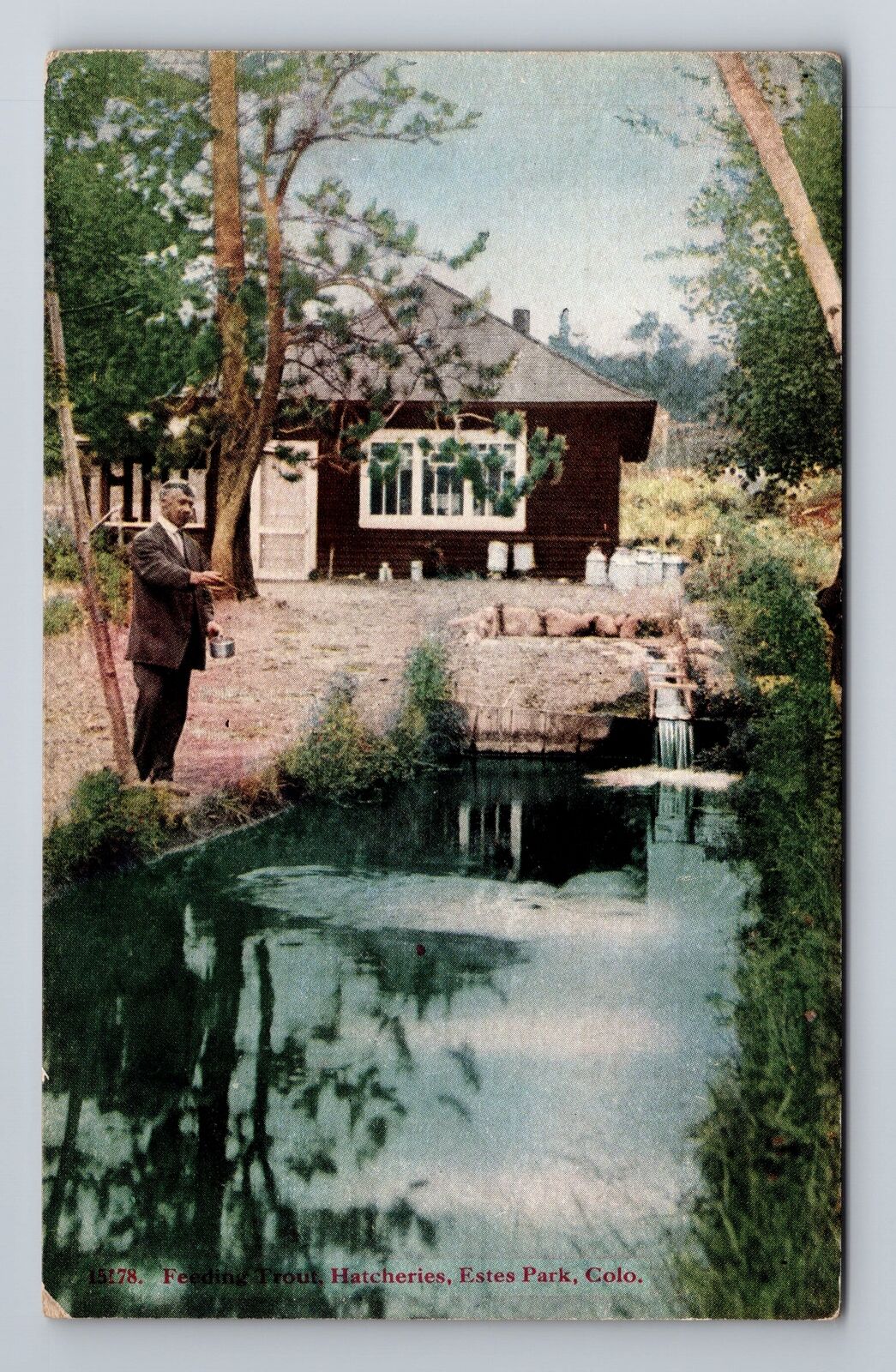 Estes Park CO-Colorado, Gent Feeding Trout, Fish Hatchery, Vintage Postcard