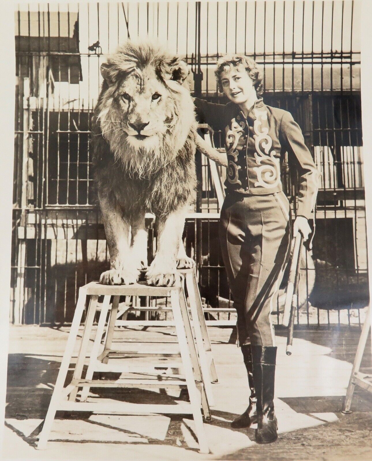 RARE 1930s / 1940s Lion Tiger Trainer Julie Allen / Circus Large Photograph #4