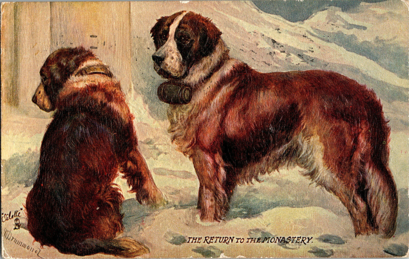Antique Rafael Tuck Oilette Postcard SAINT BERNARD dogs Return to the Monastery