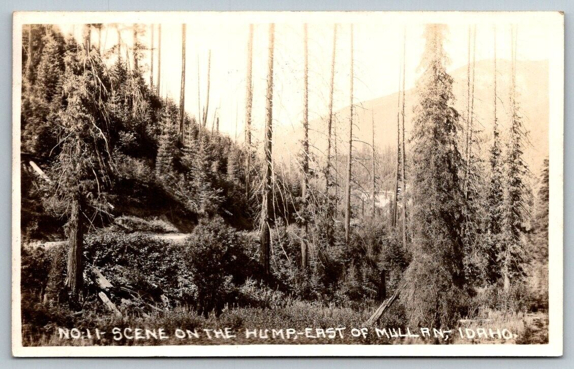 RPPC Scene on the Hump  East of Mullan  Idaho   Real Photo Postcard c1920