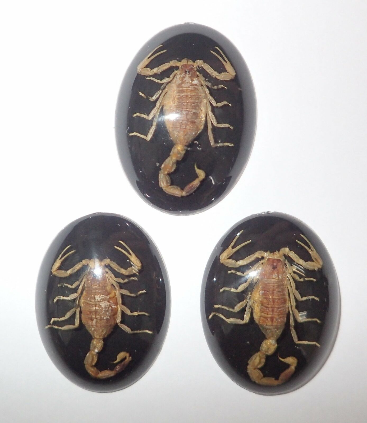 Insect Cabochon Golden Scorpion Oval 30x40 mm on Black bottom 3 pieces Lot
