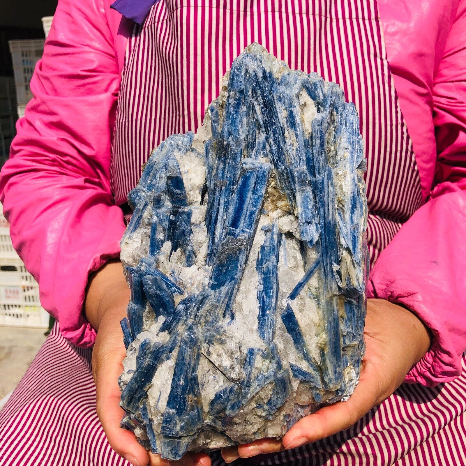 7.78LB Rare Natural Beautiful Blue Kyanite With Quartz Crystal Specim