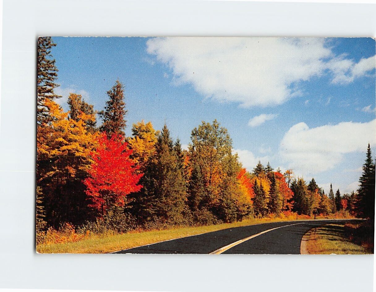 Postcard A Curve In The Road Vacationland Scene USA