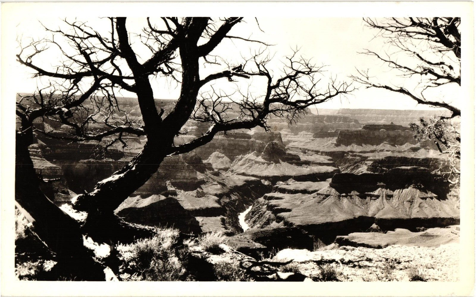 Real Photo RPPC Postcard View Grand Canyon Columbia River AZ Unused c1930s-40s