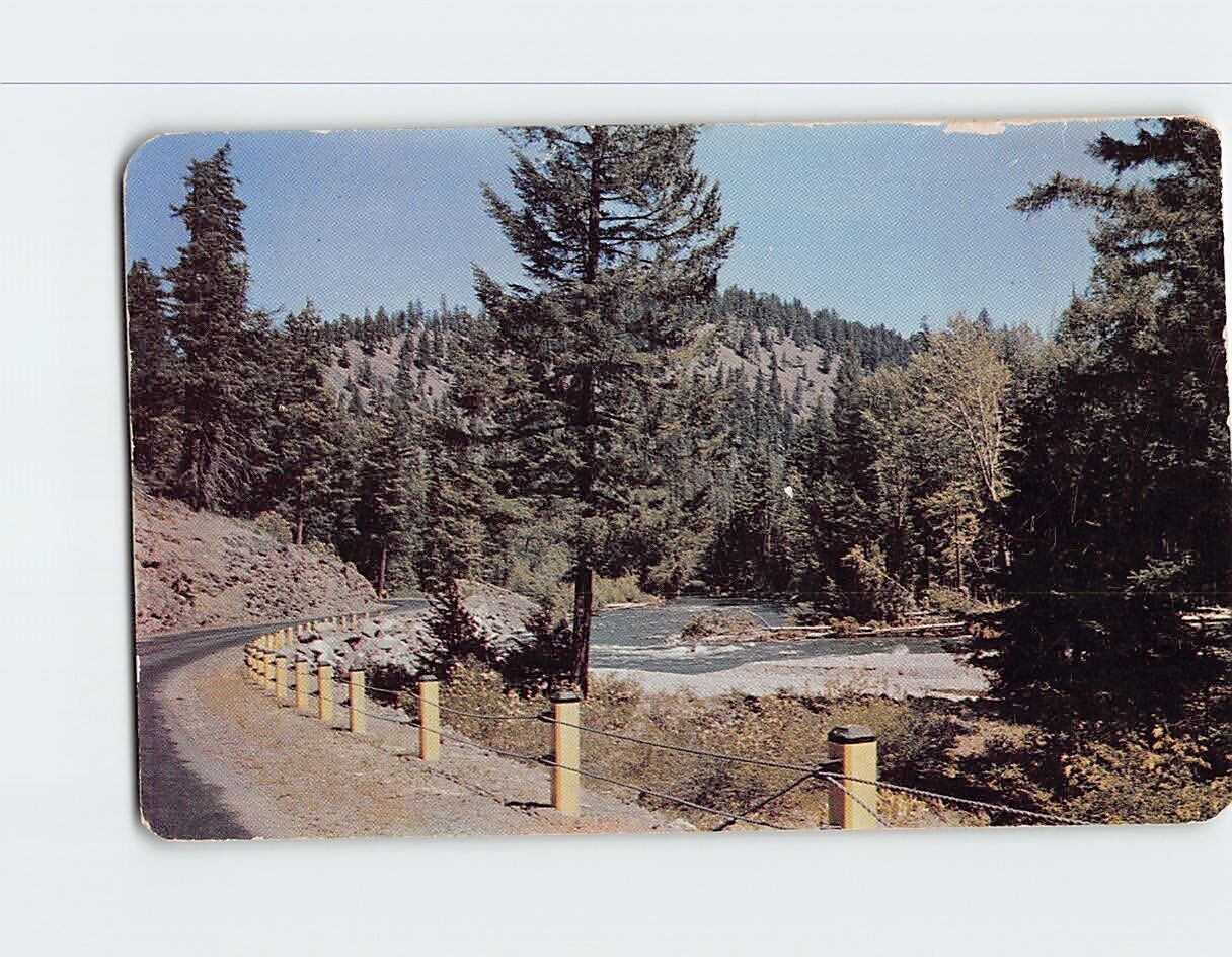 Postcard Naches Pass Highway along American River Washington USA