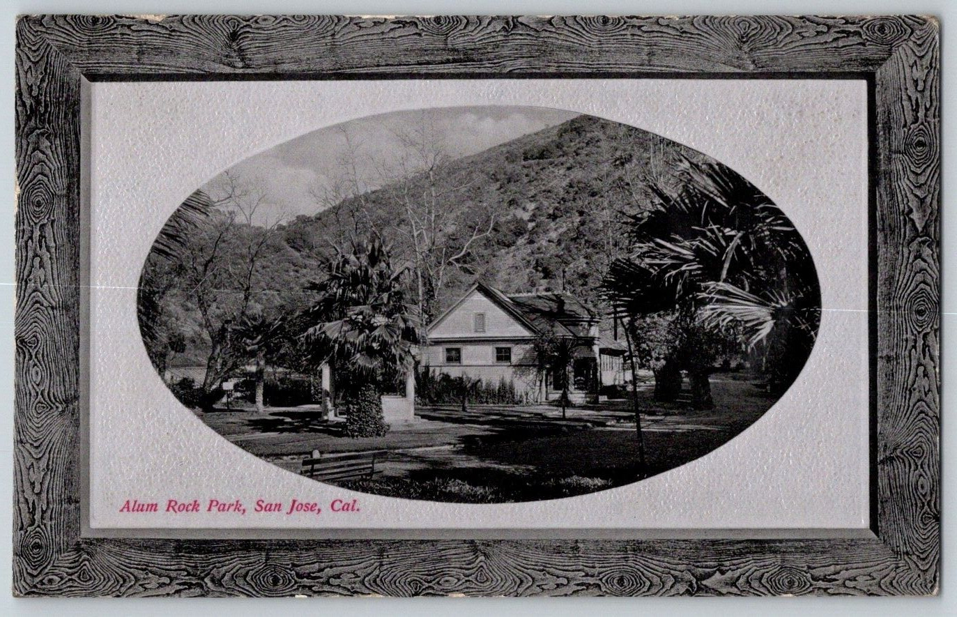 Antique Postcard~ Alum Rock Park~ San Jose, California~ CA