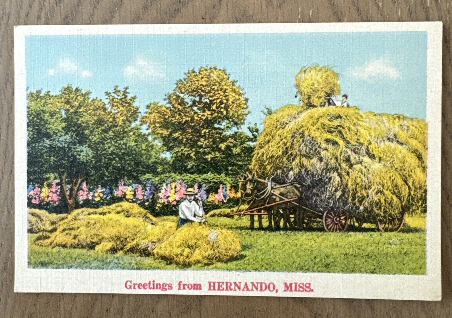 Greetings from Hernando, Mississippi linen Postcard BB