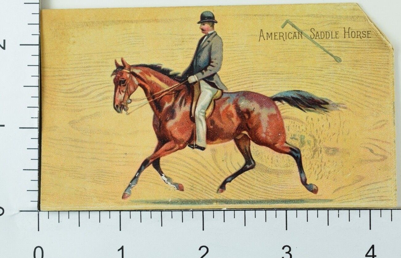 1892 N101 Duke Breed of Horses American Saddle Horse Tobacco Card 2 F61