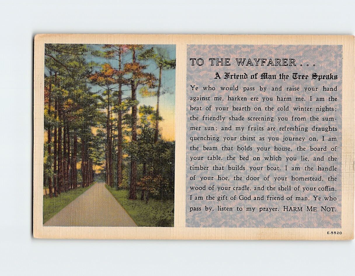 Postcard To The Wayfarer … A Friend of Man the Tree Speaks