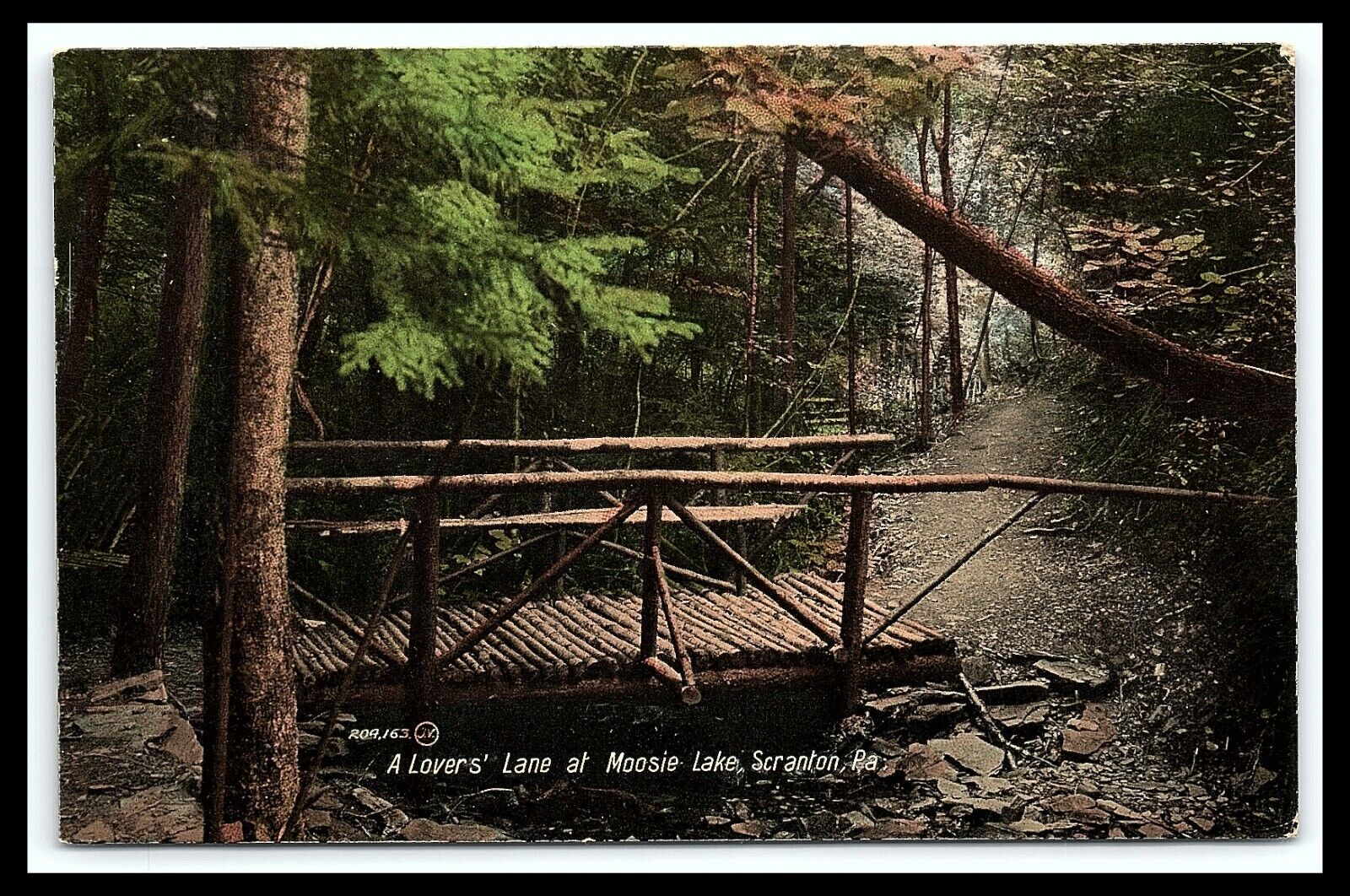 Scranton PA Moosic Lake At Lovers Lane Wooden Bridge Postcard       pc249
