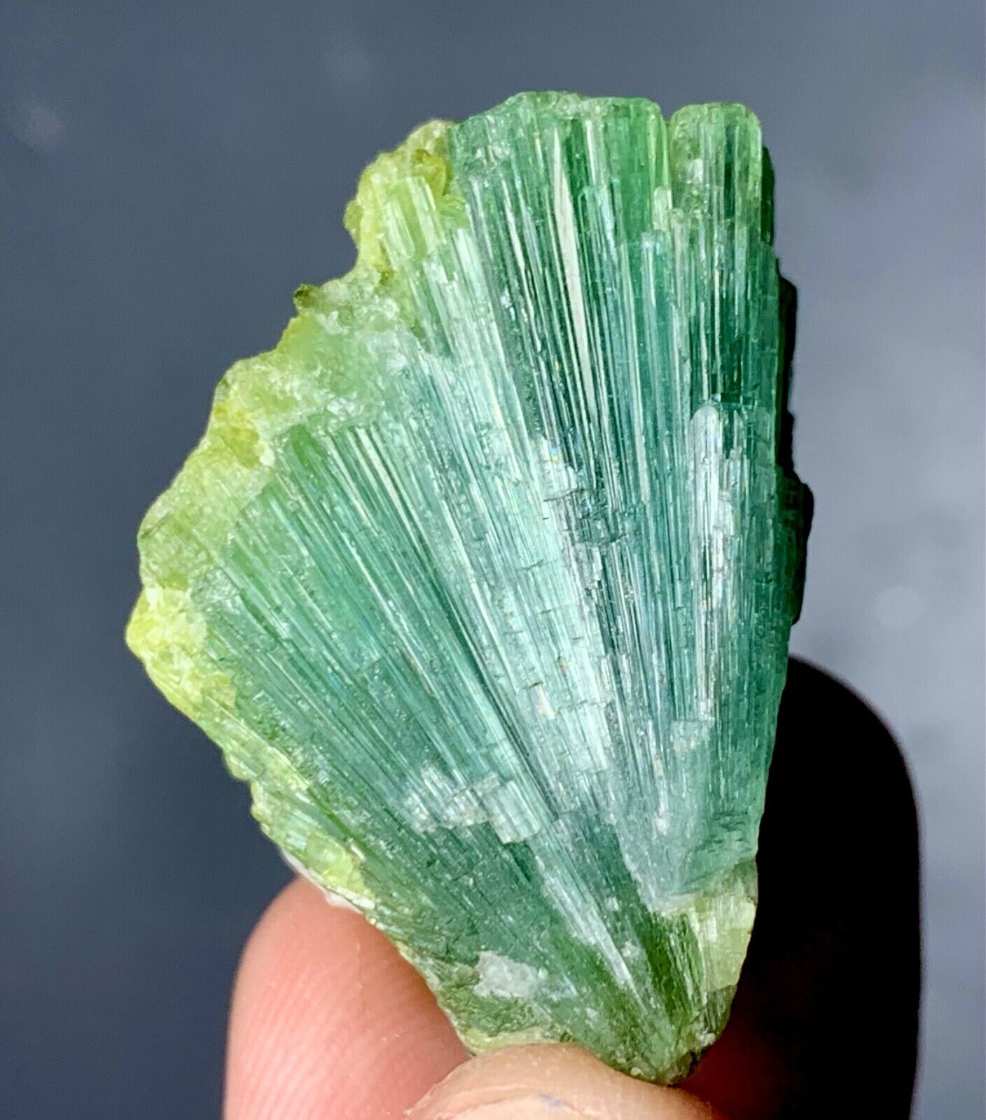 123 Carat Bunch of  Tourmaline crystal Specimen  from Afghanistan