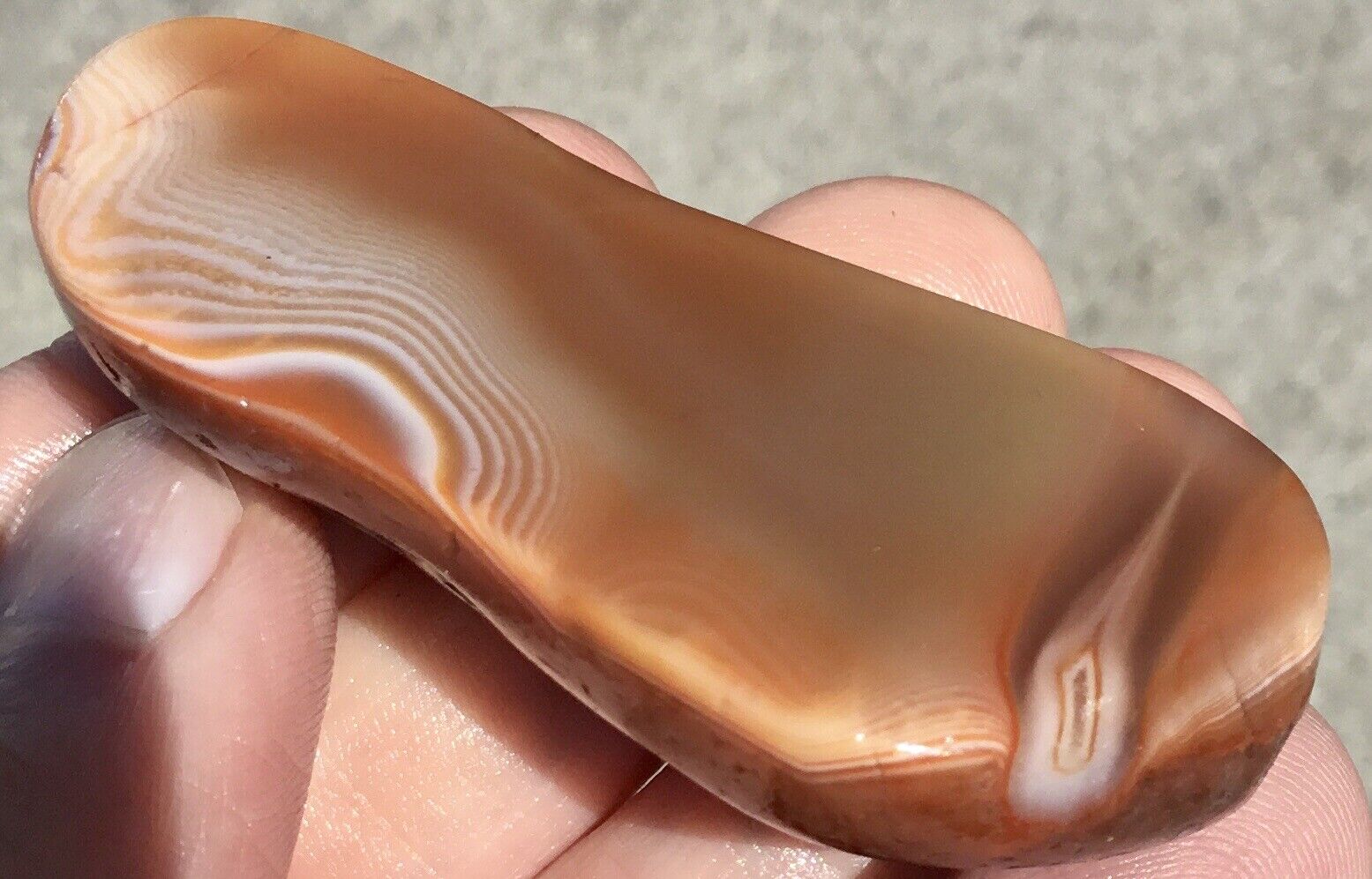 1.7 oz Lake Superior Agate TOP SHELF Polished Psychedelic High Contrast Seam