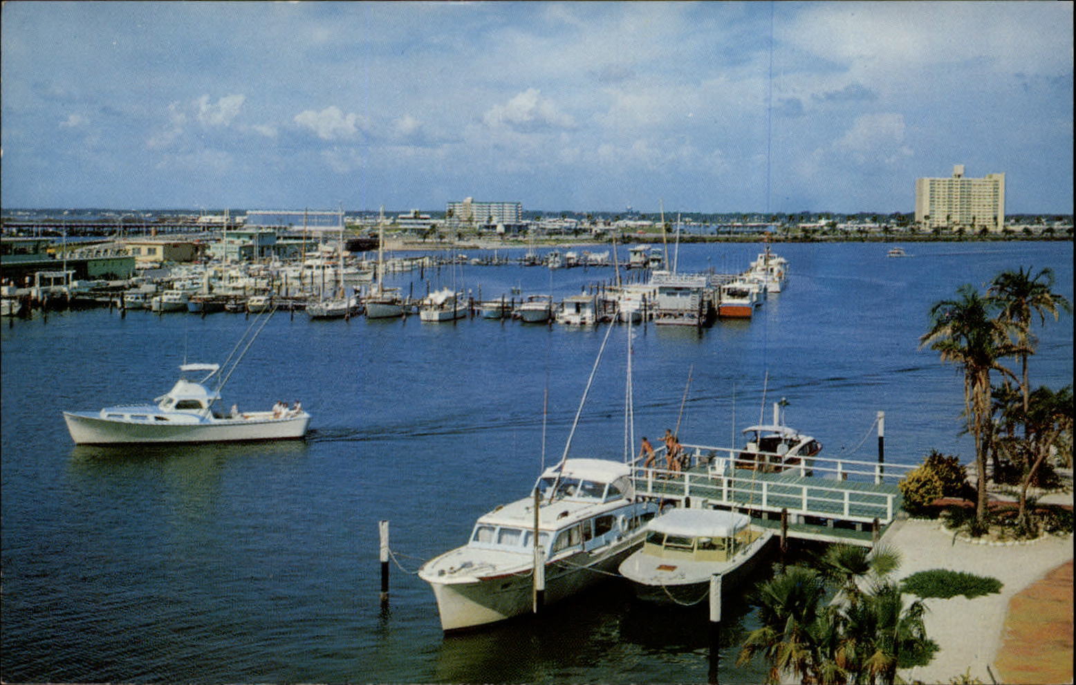 Marina Yacht Basin Clearwater Beach Florida ~ 1950s-60s vintage postcard