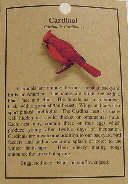 NEW RED CARDINAL BIRD  HAT PIN LAPEL PINS