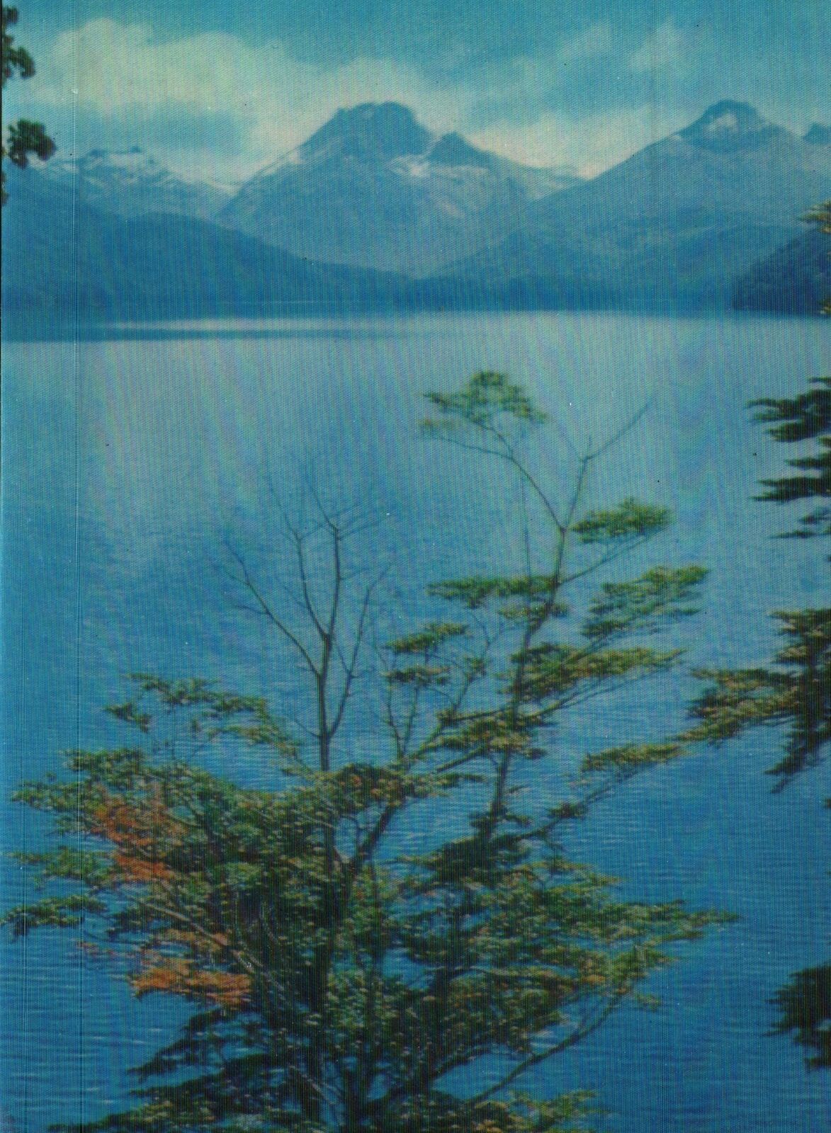 VINTAGE POSTCARD CONTINENTAL SIZE THE SOUTHERN LAKES OF ARGENTINA (LENTICULAR)