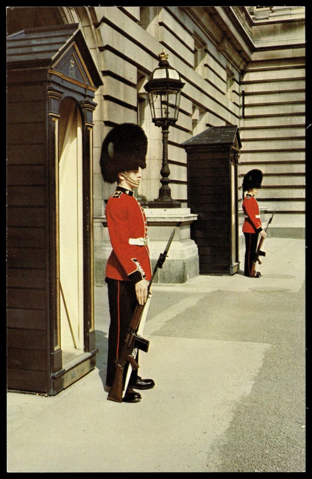 Postcard Chrome Irish Guards at Buckingham Palace London