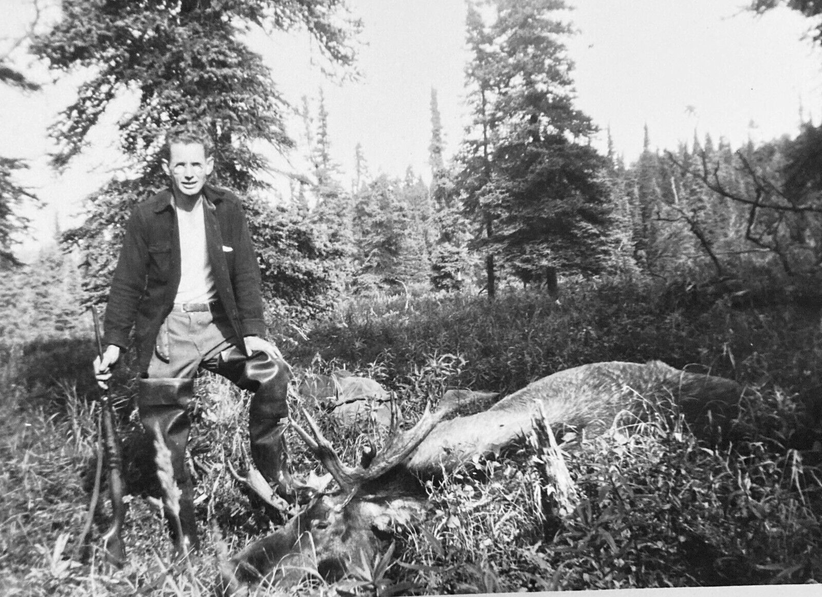 Vintage 1950s Photo Kenai Alaska Hunter Posing Beside Dead Caribou Rifle Name