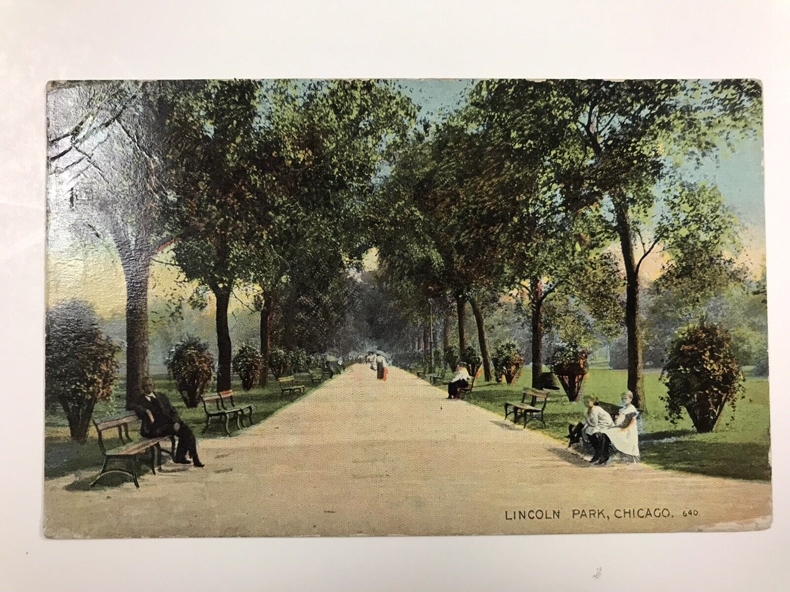 vintage 1913 lincoln park chicago divided back postcard