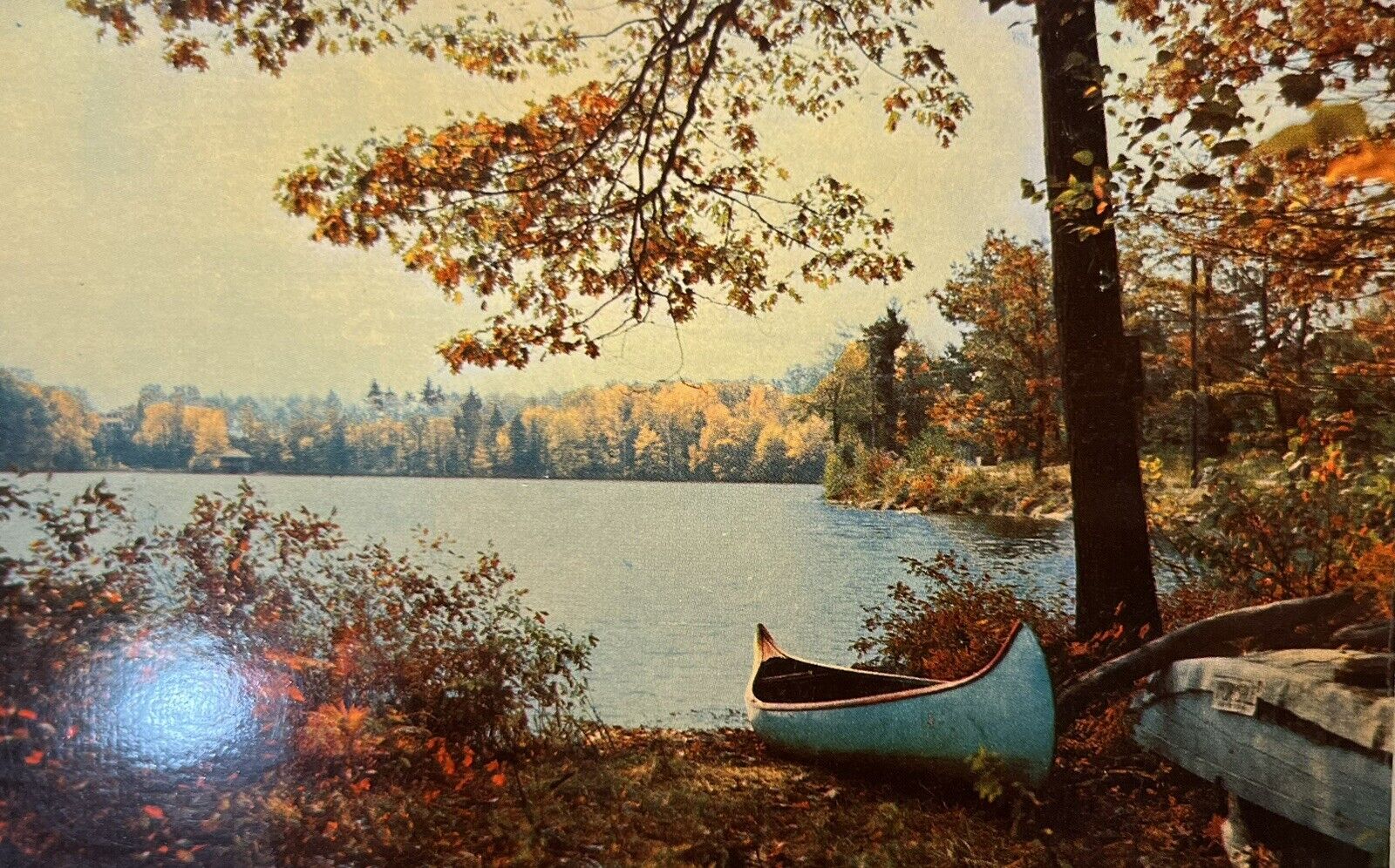 Lake Winnipesaukee New Hampshire Vintage Postcard NH Fall Foliage Canoe Boat