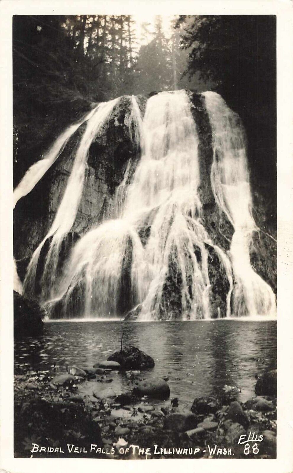 Postcard RPPC Bridal Veil Falls of The Lilliwaup Washington Signed Ellis 88