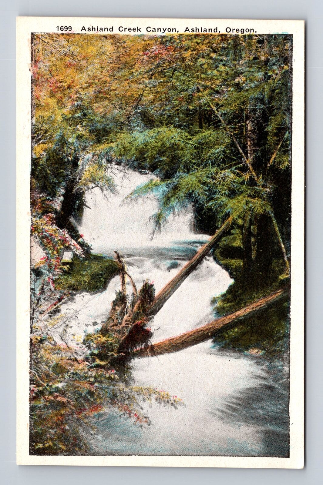 Ashland OR-Oregon, Ashland Creek Canyon, Antique Vintage Souvenir Postcard