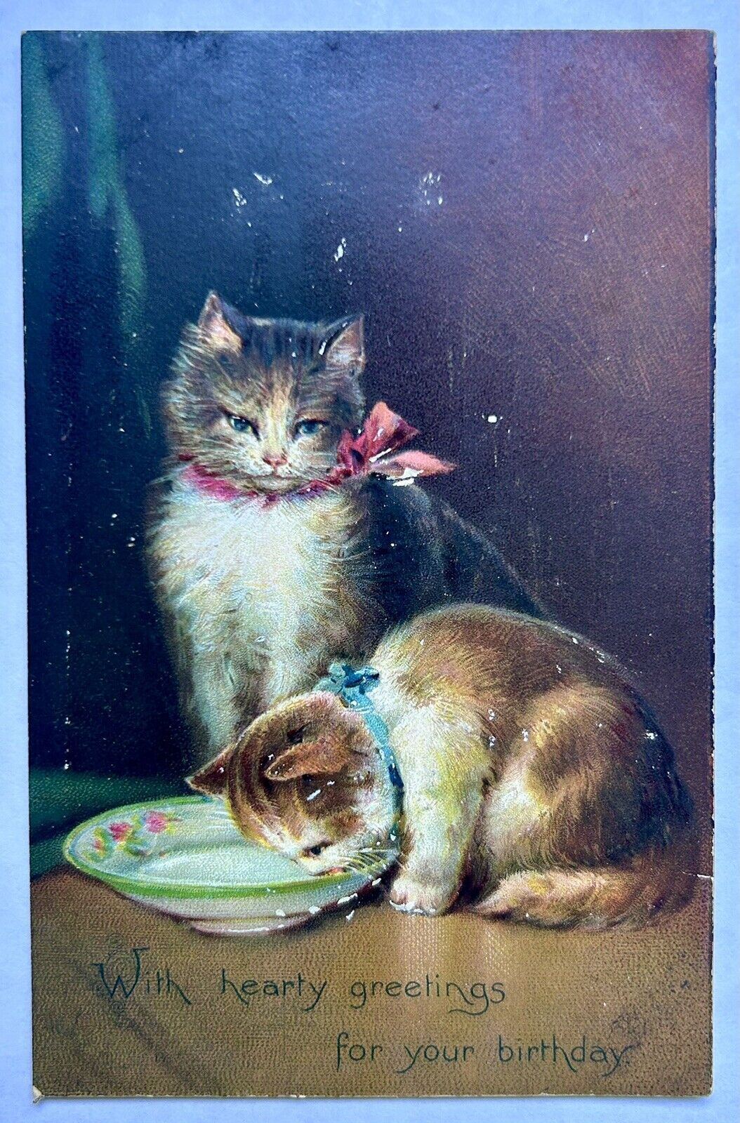 Kitten Drinking Milk. 1910 Birthday Vintage Cat Postcard