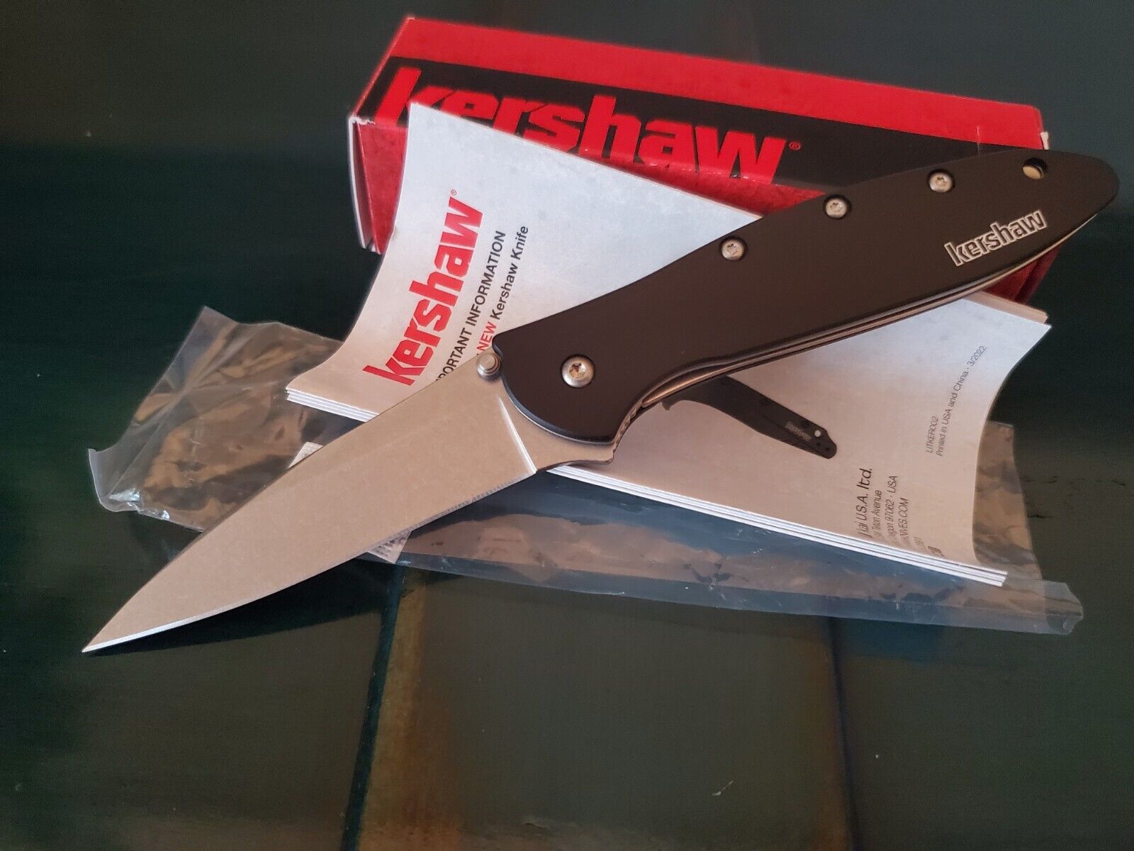 Kershaw Leek 1660SWBLK, Plain Edge, Speed Safe Assisted Open Pocket Knife