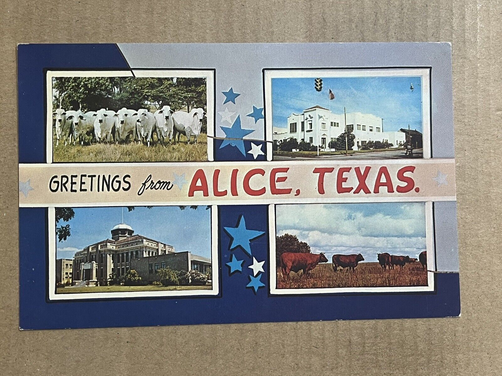 Postcard Alice TX Texas Banner Greeting Cattle Vintage PC