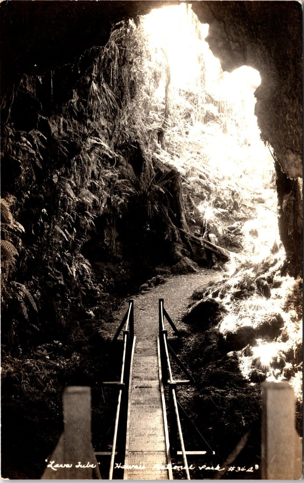 RPPC Lava Tube Hawaii National Park Cave Bridge Real Photo Postcard