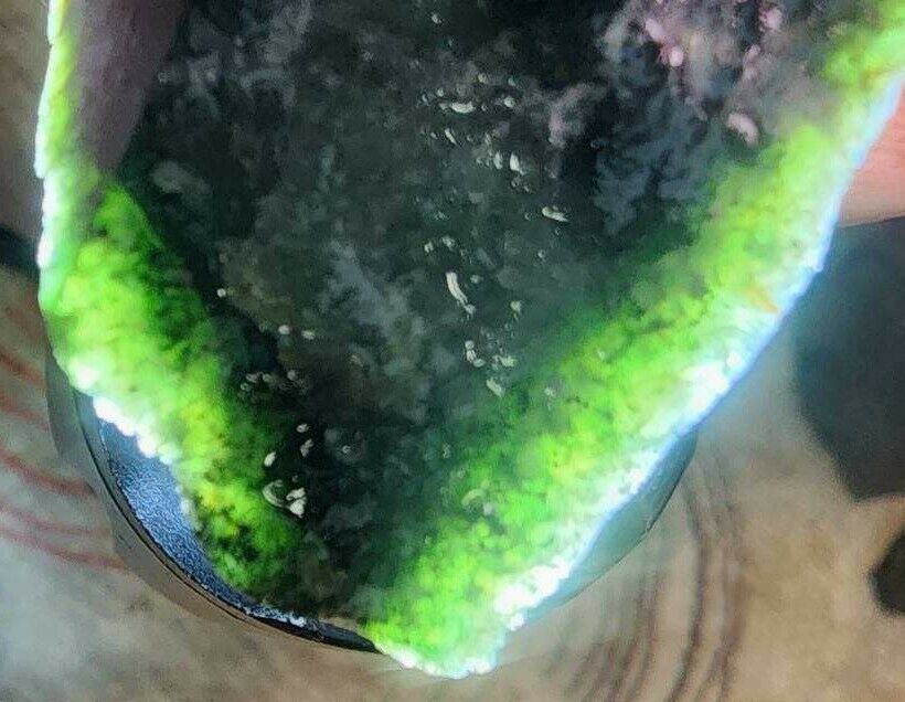  Wyoming JADE Rare Old Stock GREEN/BLACK Cut NEPHRITE Jade (101 grams)