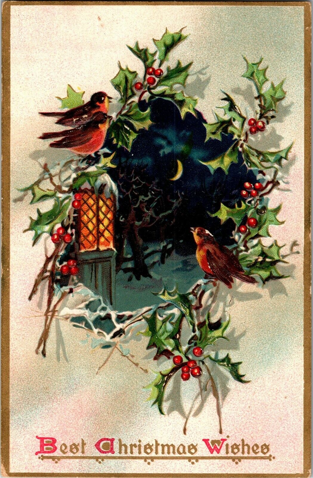 Tucks Holly 100 Best Christmas Wishes, Birds Embossed c1908 Vintage Postcard W29