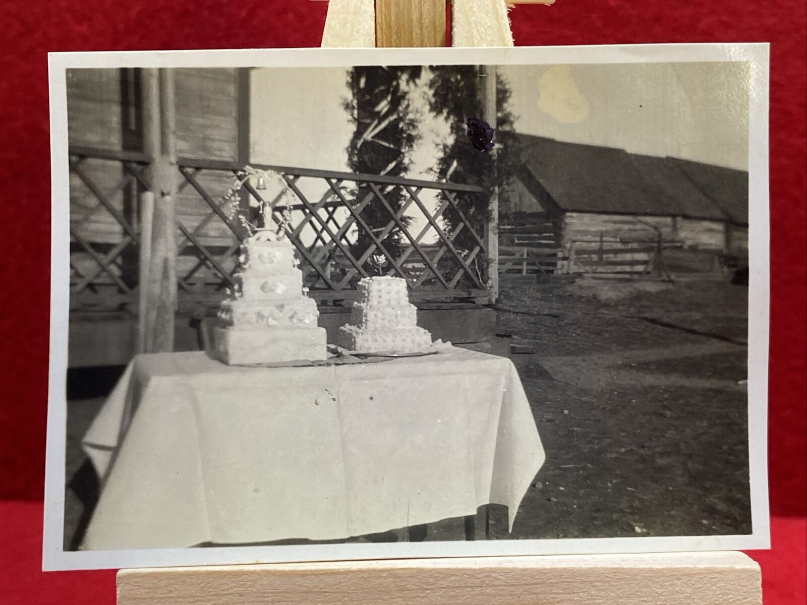 Early 1900's Wedding Cake Farm - Original Vintage Photograph Rare VTG OOAK Photo