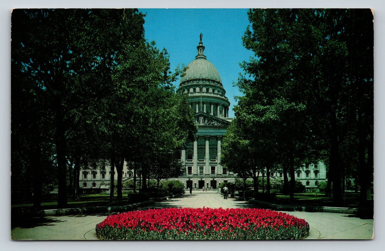c1954 Madison Wisconsin State Capitol Dome Flower Garden VINTAGE Postcard