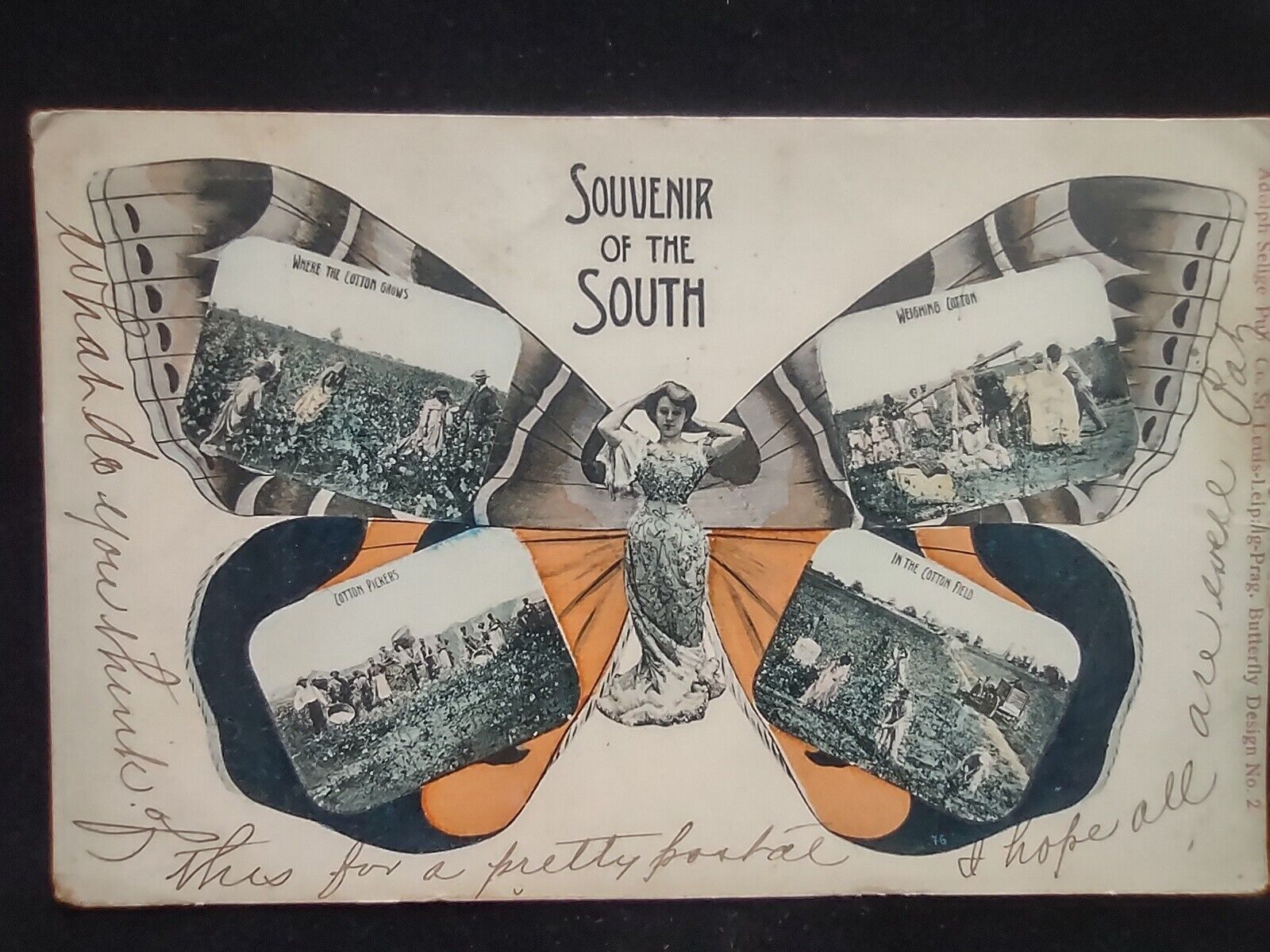 1906 Antique Souvenir of the South Post Card Fantasy Adolph Selige Butterfly 