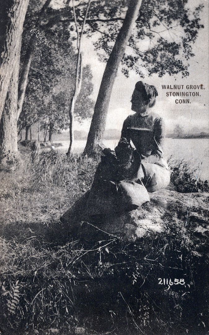 STONINGTON CT - Walnut Grove Postcard - 1915