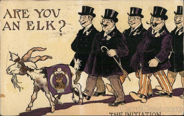 Elks 1908 Are You An Elk? Goat EPOL Men Walking The Initiation Ah Postcard