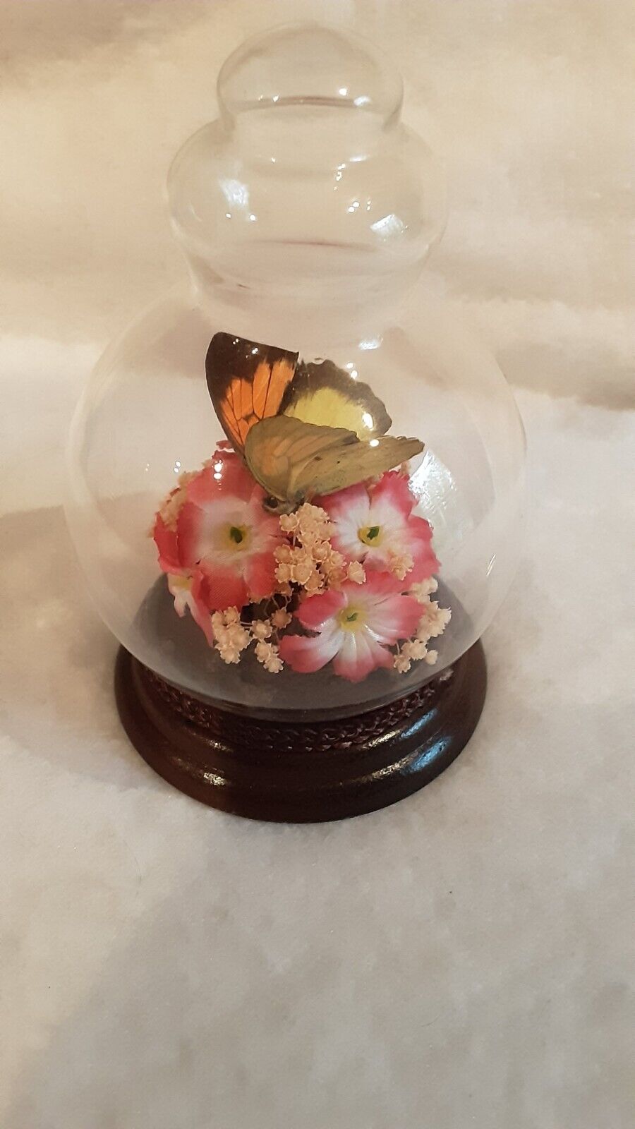 Vintage Butterfly In Dome.Marked Tiawan.