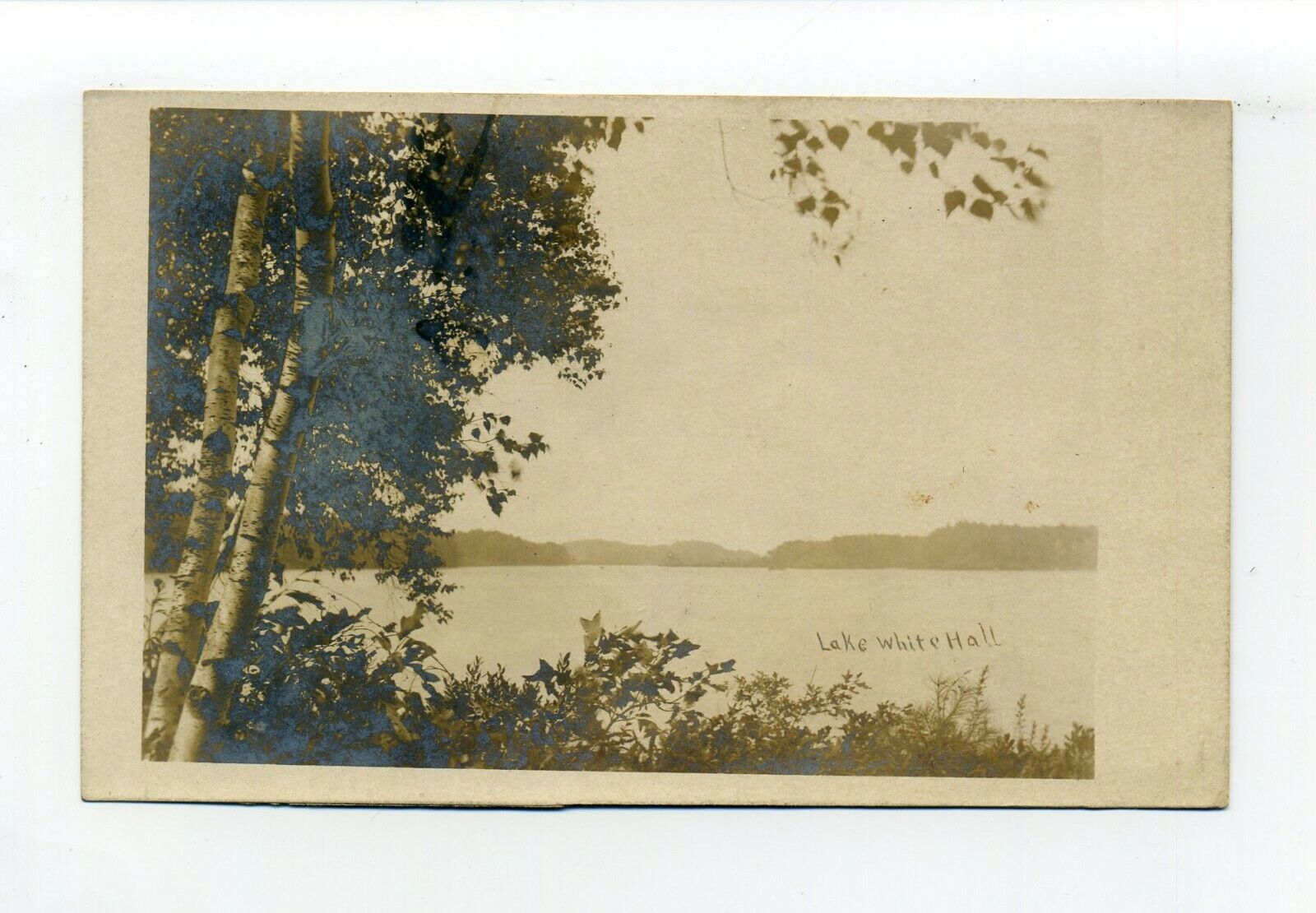 Woodville, Hopkinton MA Mass antique RPPC photo postcard Lake Whitehall, birches