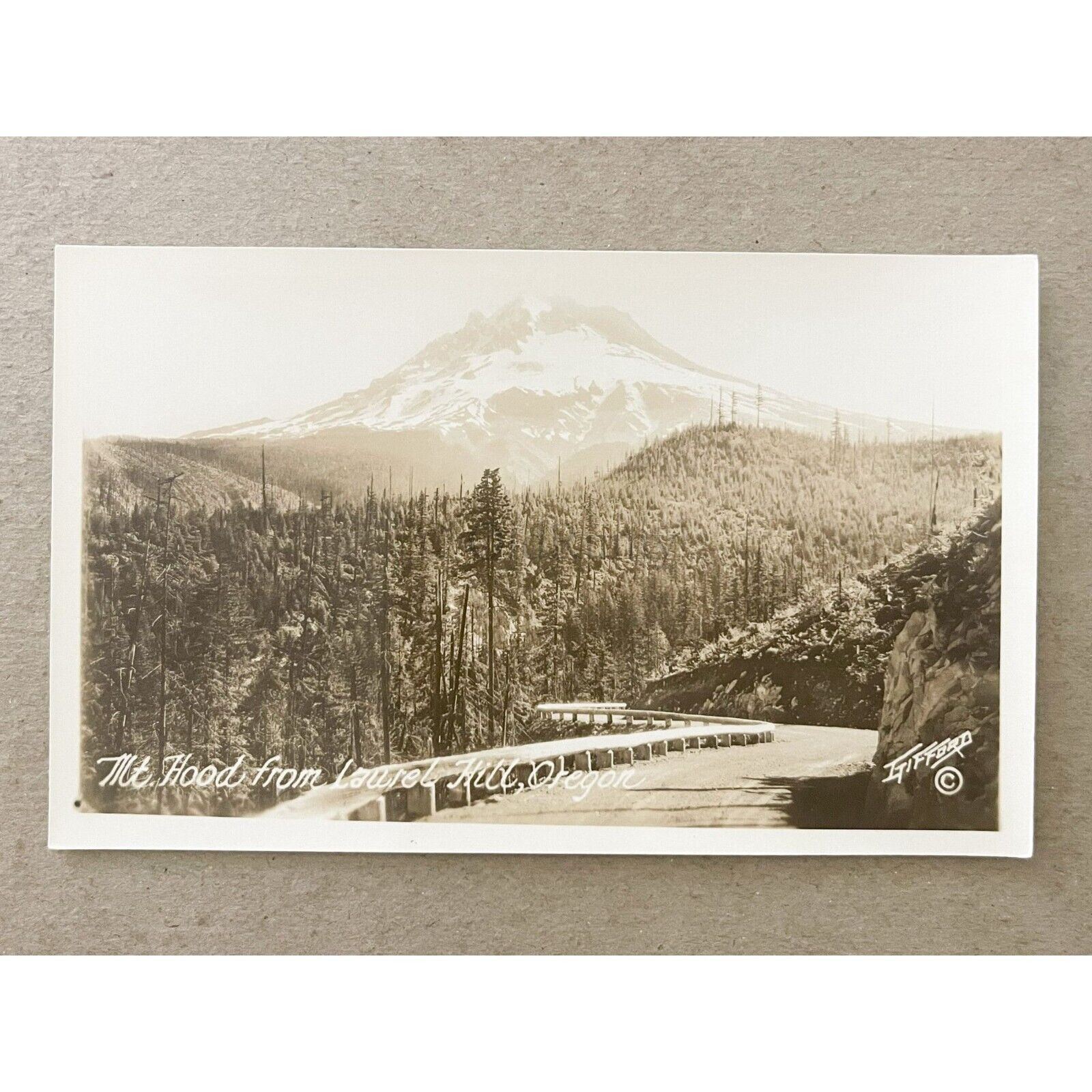Vintage 1920s Mt. Hood from Laurel Hill Oregon Photo By Benjamin A Gifford