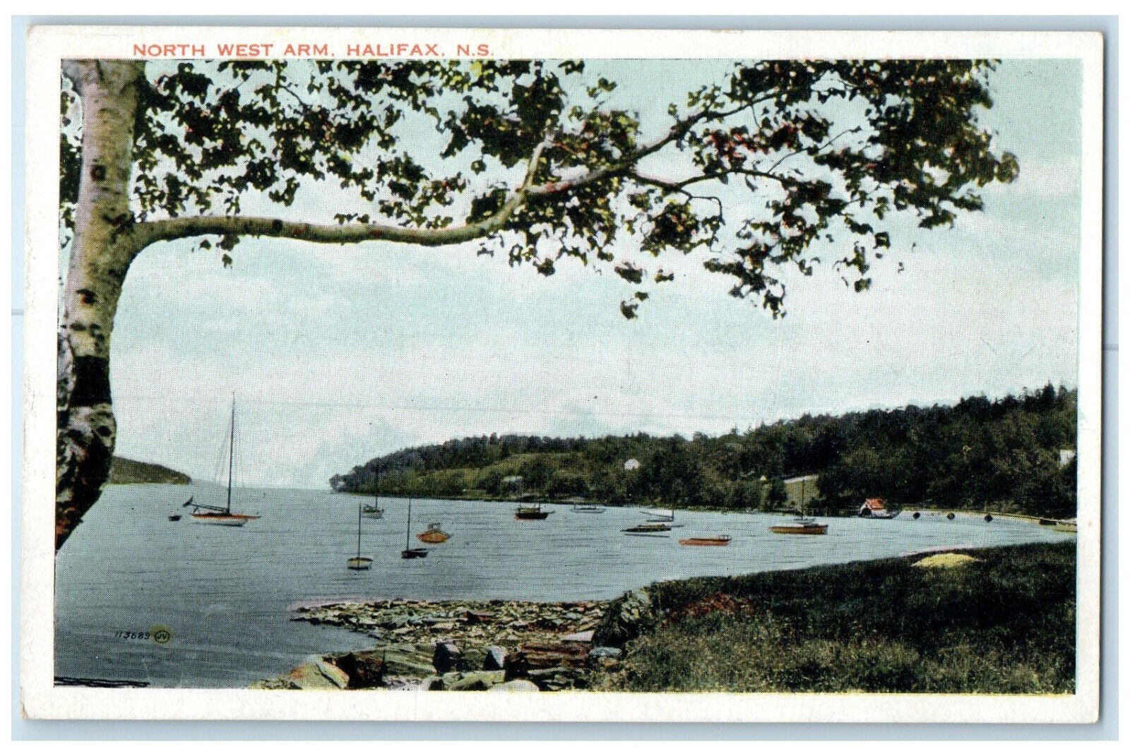 c1920\'s North West Arm Halifax Nova Scotia Canada Antique Unposted Postcard