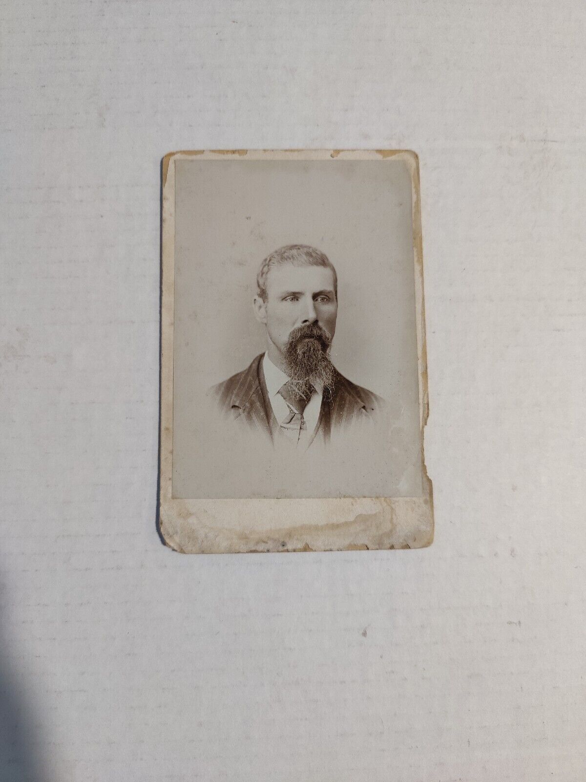 Vintage Cabinet Card Portrait of Man with Beard in a Suit