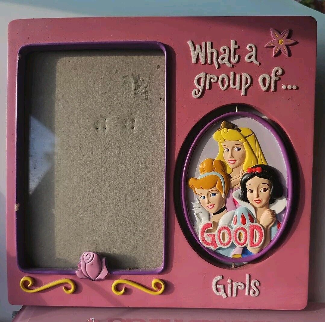 Disney Good/Bad Girls Picture Frame with Princesses and Villains spinner