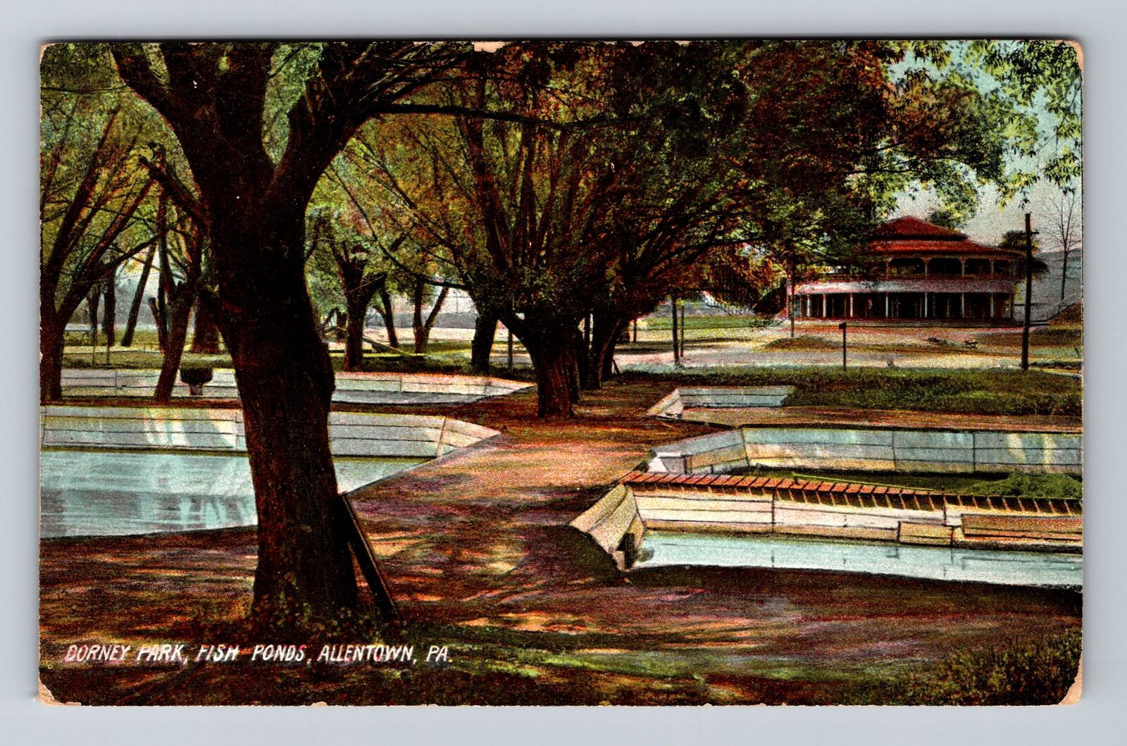 Allentown PA-Pennsylvania, Dorney Park Fish Pond, Antique Vintage Postcard