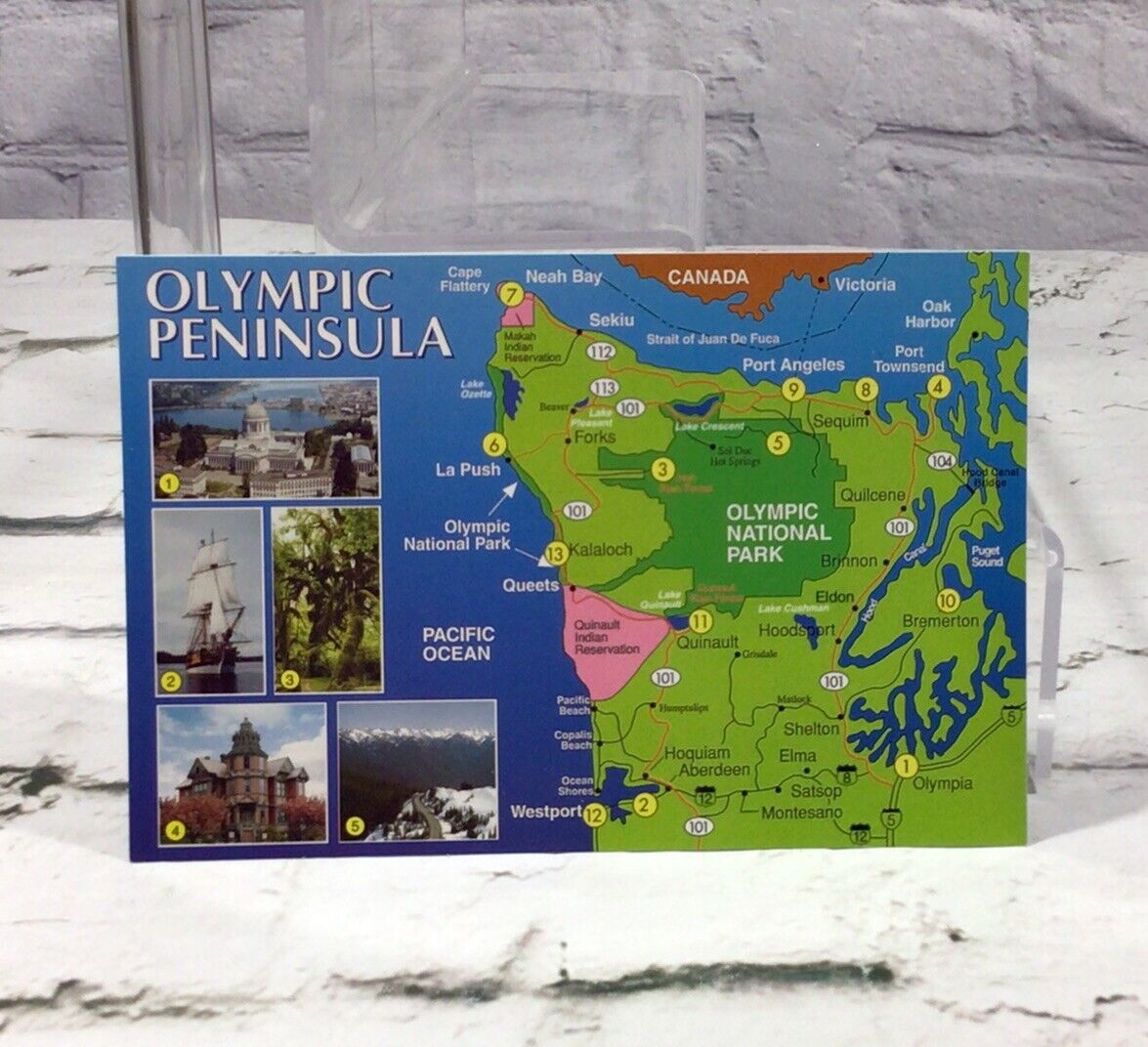 Washington State Olympic Peninsula Vintage Postcard