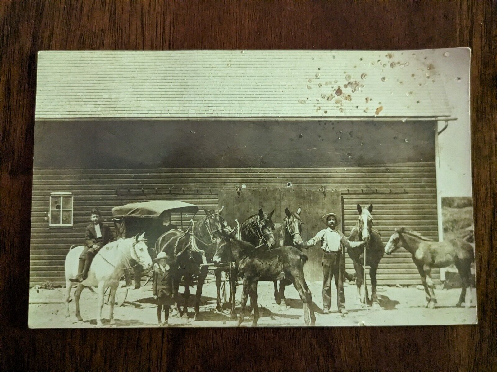Rare Vintage RPPC Real Photo Postcard 1900s Group Men w/ Carriage+ Horses RS6