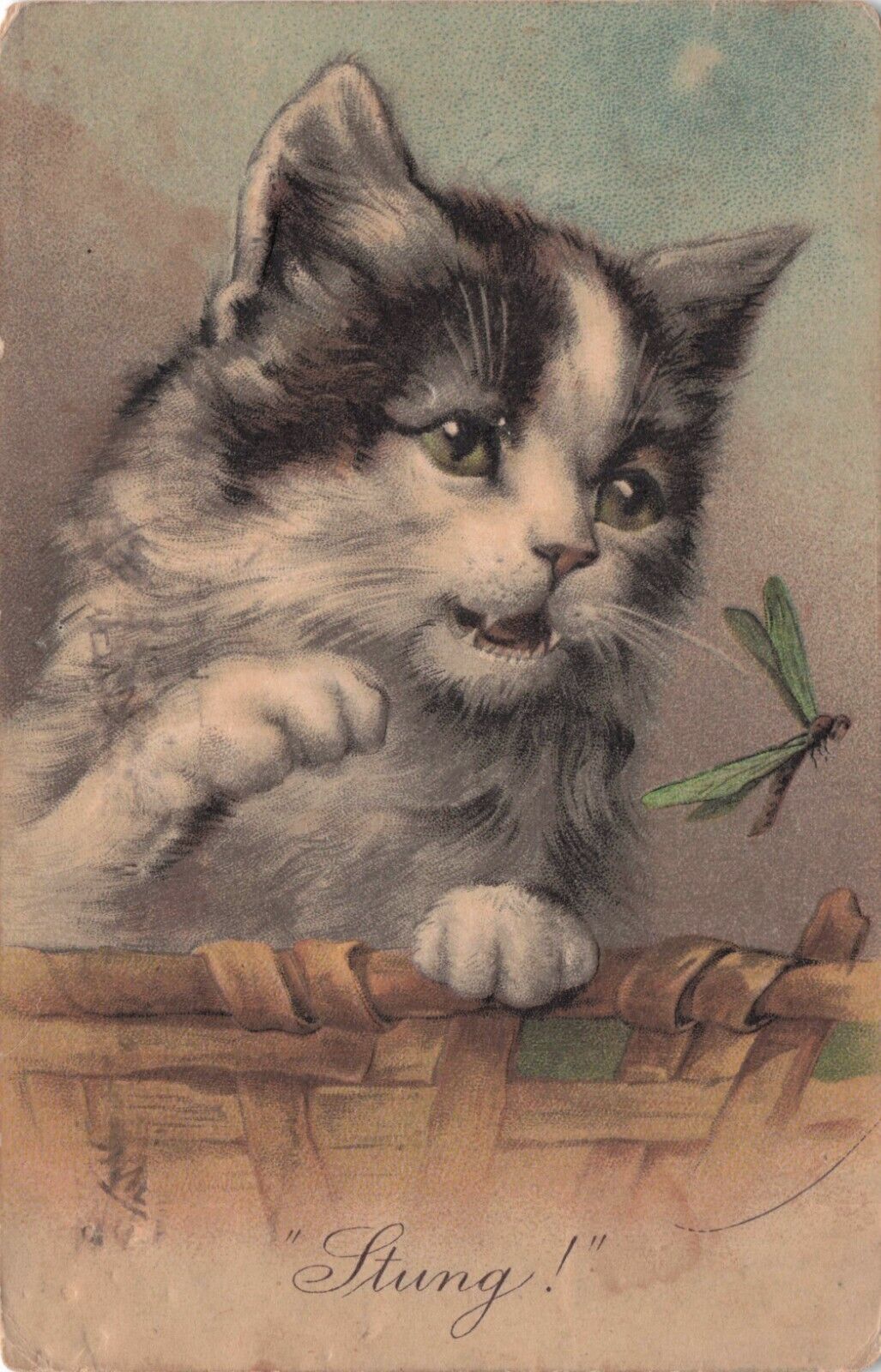 Vintage Postcard Tabby & White Bicolor Kitten Stung By Dragonfly Postmarked 1908